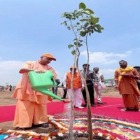 Yogi launches mega tree plantation drive in UP