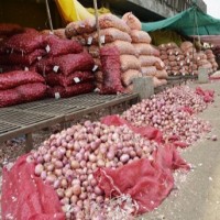 2.50L tonnes of onions procured to meet lean season demand