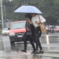 Rain continues to batter K'taka, red alert in 7 districts