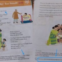 Parents worry as 7-yr-old students taught 'abbu', 'ammi', 'biryani'