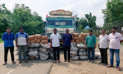 Andhra police seize 870 kg marijuana being moved on coal truck Andhra police seize 870 kg marijuana being moved on coal truck
