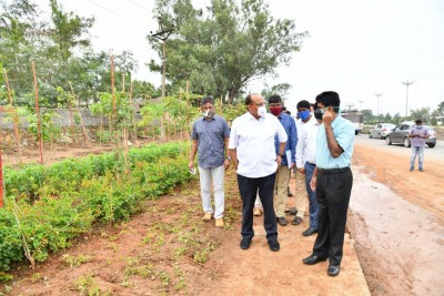Multilayer avenue plantation to be taken up in Hyderabad Multilayer avenue plantation to be taken up in Hyderabad