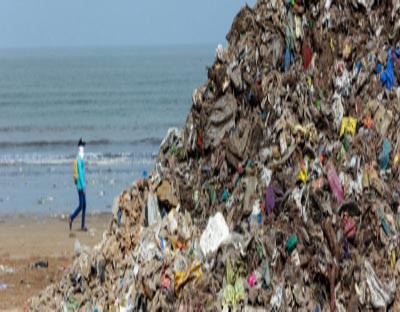 TN forest dept collects 100 kg of plastic waste from Krusadai island TN forest dept collects 100 kg of plastic waste from Krusadai island