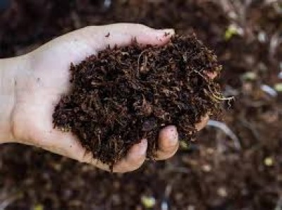 UoH-ARCI team develops nano-DAP fertiliser that boosts agronomic use efficiency UoH-ARCI team develops nano-DAP fertiliser that boosts agronomic use efficiency