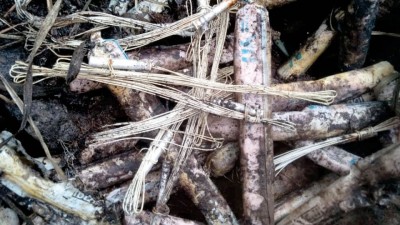 Panic as 'deactivated' gelatine sticks found near KRS dam in K'taka Panic as 'deactivated' gelatine sticks found near KRS dam in K'taka