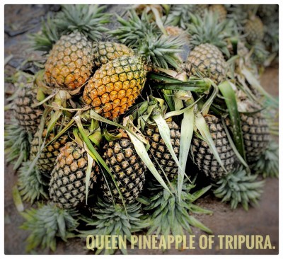 After Hasina's mango gift, Tripura CM sends pineapples to B'desh PM After Hasina's mango gift, Tripura CM sends pineapples to B'desh PM