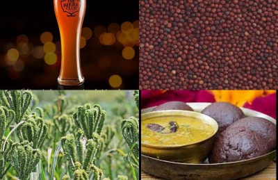 From home platter to pubs, journey of Finger Millet continues in Bengaluru From home platter to pubs, journey of Finger Millet continues in Bengaluru