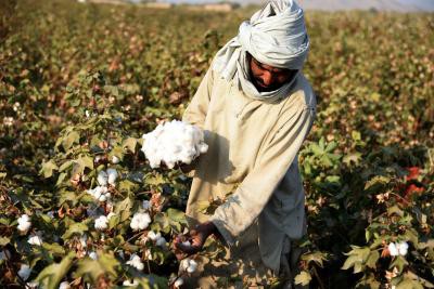 Monsanto officials were on snoop list as Maharashtra set up probe for Bt cotton