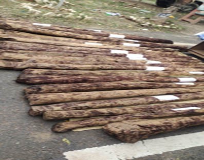 Man held for smuggling red sanders worth Rs 20L in Andhra Man held for smuggling red sanders worth Rs 20L in Andhra