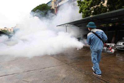 Global warming may limit spread of dengue fever: Study Global warming may limit spread of dengue fever: Study