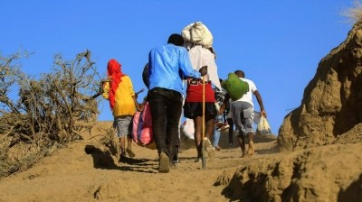 India prizes millets for food security and exports to Africa India prizes millets for food security and exports to Africa