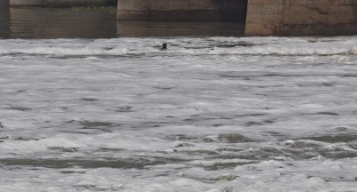 Yamuna not fit for bathing due to lack of minimum flow of water: Delhi Govt Yamuna not fit for bathing due to lack of minimum flow of water: Delhi Govt