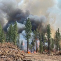 Oregon wildfire scorches area 1.5 times the size of NYC