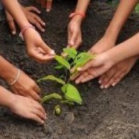 'Sanskritik Forest' to come up in Prayagraj