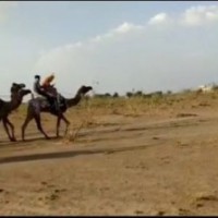 Desert state of Rajasthan to be promoted as monsoon, adventure destination