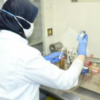 Morocco reports 3,940 Covid-19 cases, 566,356 in total