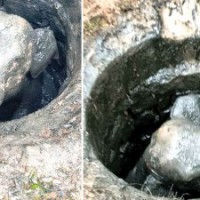 Baby elephant rescued from cesspit after 3-hr operation in K'taka