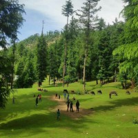 Kargil sizzles at 37.3, Srinagar sees hottest July day since 2013