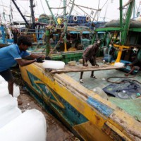 Fishermen demand that like crops, govt fix prices of fish