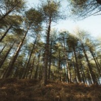 Will set new benchmarks for global climate ambition: India