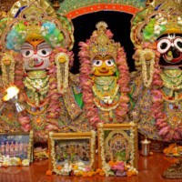 Odisha: Bahuda Yatra of Lord Jagannath, deities completed