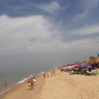 Chennai travel agents get a boost after announcement of free visas