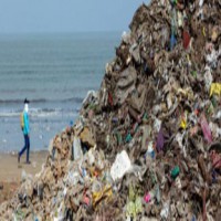 TN forest dept collects 100 kg of plastic waste from Krusadai island