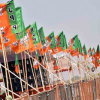 TN BJP to popularize party at grassroots level