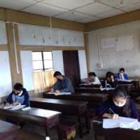 Allow regional languages' use in competitive exams, KTR to Centre