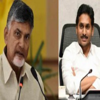 TDP demands resignation of YSRCP MPs over VSP privatisation