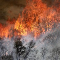 Huge California wildfire destroys multiple buildings