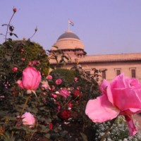 Presidential palace to reopen for public from Aug 1