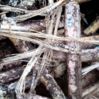 Panic as 'deactivated' gelatine sticks found near KRS dam in K'taka