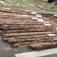 Man held for smuggling red sanders worth Rs 20L in Andhra