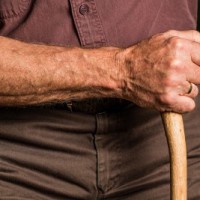 Yogi's 'Elderline' connects with helpless senior citizens