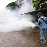 Global warming may limit spread of dengue fever: Study