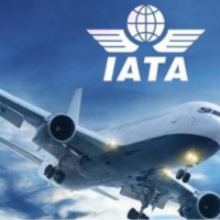 Open air travel for inoculated passengers: IATA 