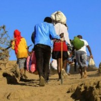 India prizes millets for food security and exports to Africa