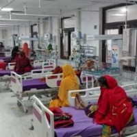Heat, humidity make Bihar's Muzaffarpur susceptible to AES outbreak
