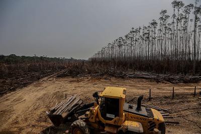 Brazil launches forest concessions studies in Amazon area Brazil launches forest concessions studies in Amazon area