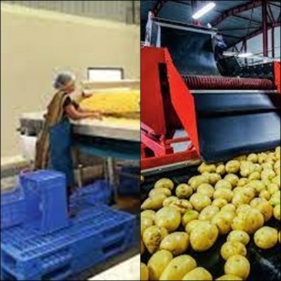 Food processing becomes preferred sector in UP