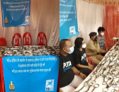 Police, PETA seize spikes used on horses Police, PETA seize spikes used on horses