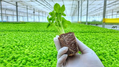 Agri-tech WayCool plans $20 mn capex, strategic investments