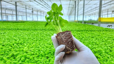 Agri-tech WayCool plans $20 mn capex, strategic investments Agri-tech WayCool plans $20 mn capex, strategic investments