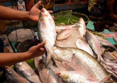 Seafood exports from India see all-round dip in 2020-21 Seafood exports from India see all-round dip in 2020-21