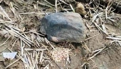 Maha farmer faces 'social boycott', fine for damaging village deity Maha farmer faces 'social boycott', fine for damaging village deity