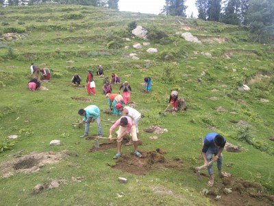 UP plantation drive with aim on immunity-building UP plantation drive with aim on immunity-building