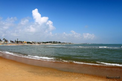 Govt stimulus to initiate tourism sector revival: Crisil Govt stimulus to initiate tourism sector revival: Crisil