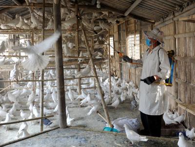 China reports human infection of H10N3 avian influenza China reports human infection of H10N3 avian influenza