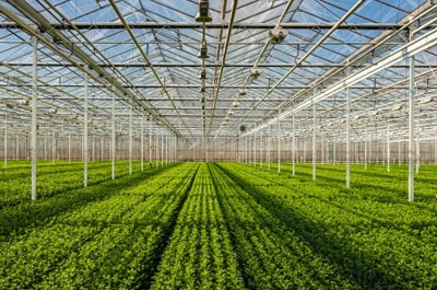 Karnataka to use Israeli technologies to boost horticulture Karnataka to use Israeli technologies to boost horticulture
